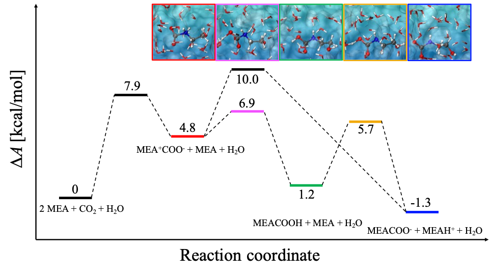 Facile Carbamic Acid Intermediate Formation in Aqueous Monoethanolamine and Its Vital Role in CO<sub>2</sub> Capture Processes