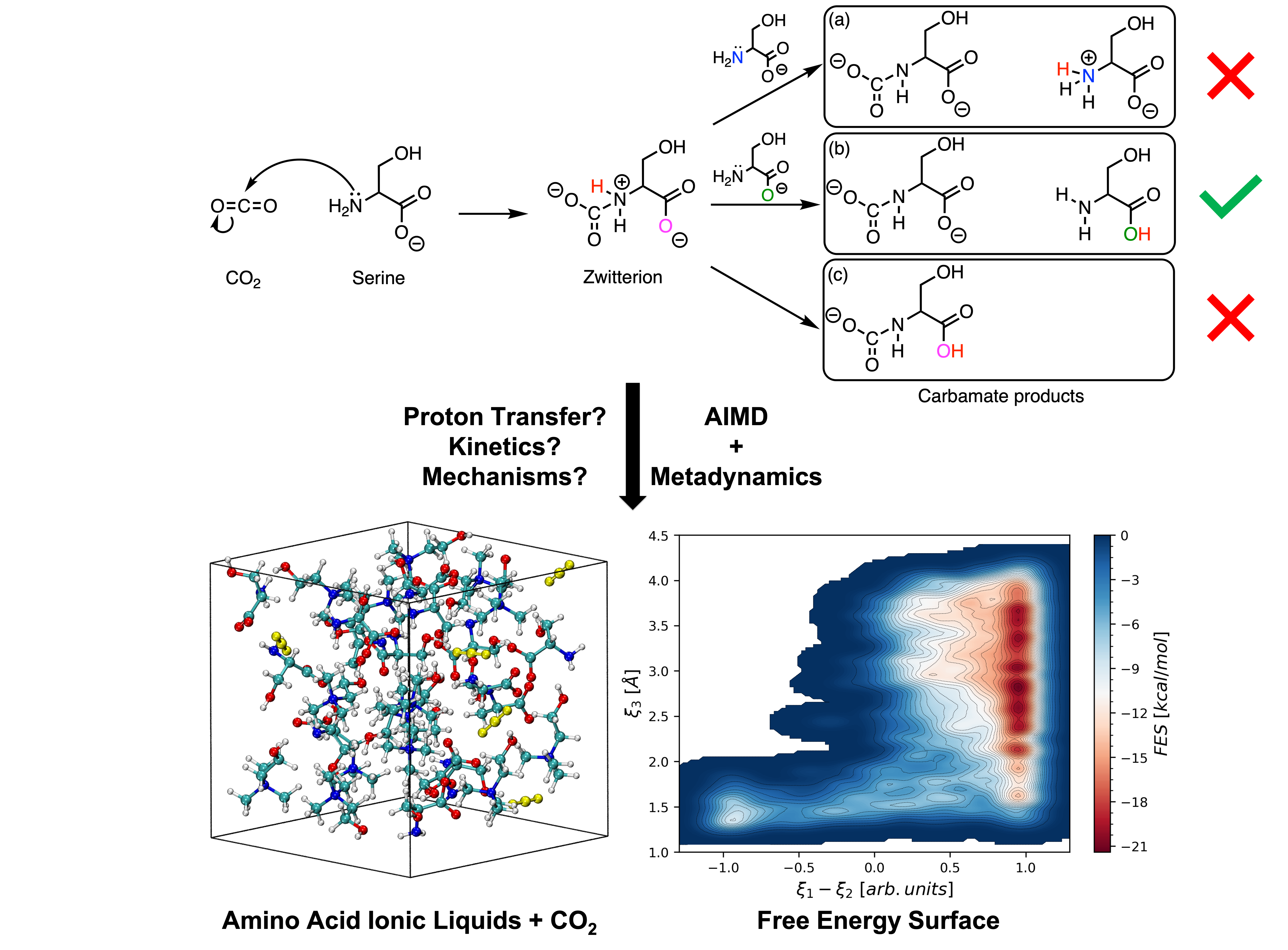 Elucidating the Molecular Mechanism of CO<sub>2</sub> Capture by Amino Acid Ionic Liquids